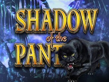 Shadow Of The Panther